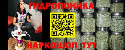 мяу мяу мука Бугуруслан