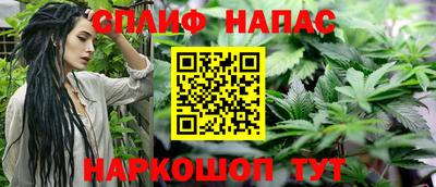 мяу мяу мука Бугуруслан